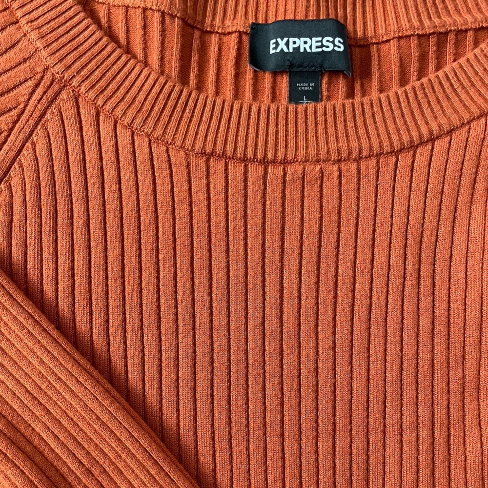 Express Orange Sweater